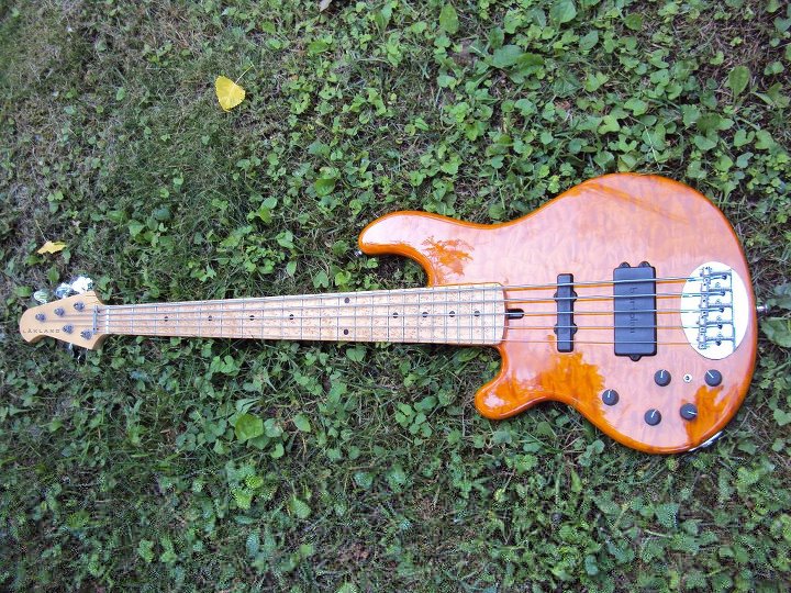 Lakland 55-94.jpg