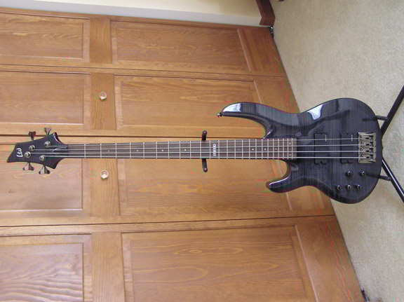 ESP LTD B254...jpg